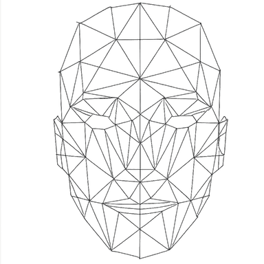 Face mesh